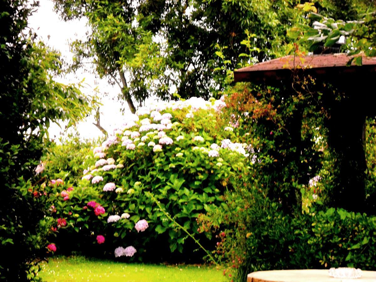 Hosteria De Quijas Buitenkant foto